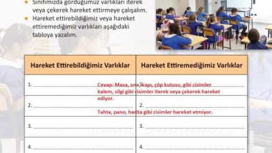 3. Sınıf Fen Bilimleri Meb Yayınları Sayfa 82 Cevapları