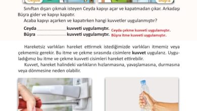 3. Sınıf Fen Bilimleri Meb Yayınları Sayfa 83 Cevapları