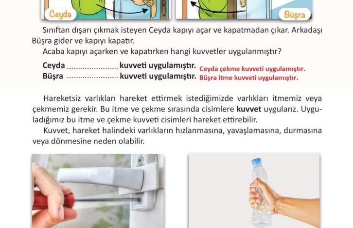 3. Sınıf Fen Bilimleri Meb Yayınları Sayfa 83 Cevapları