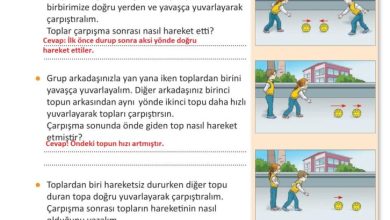 3. Sınıf Fen Bilimleri Meb Yayınları Sayfa 86 Cevapları