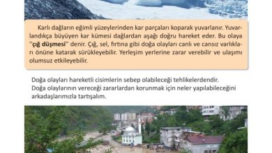 3. Sınıf Fen Bilimleri Meb Yayınları Sayfa 88 Cevapları