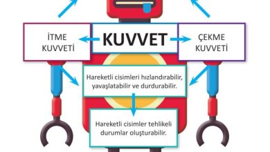 3. Sınıf Fen Bilimleri Meb Yayınları Sayfa 89 Cevapları