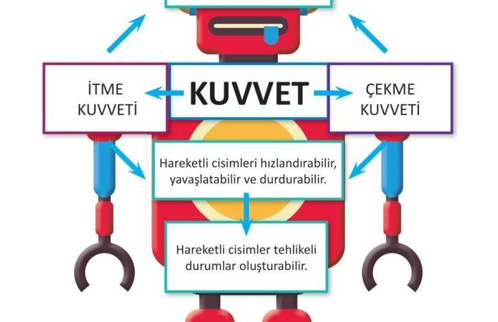 3. Sınıf Fen Bilimleri Meb Yayınları Sayfa 89 Cevapları