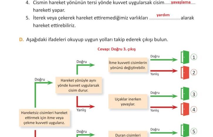 3. Sınıf Fen Bilimleri Meb Yayınları Sayfa 91 Cevapları