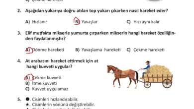 3. Sınıf Fen Bilimleri Meb Yayınları Sayfa 93 Cevapları