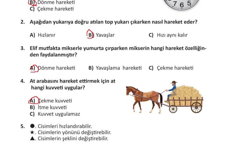 3. Sınıf Fen Bilimleri Meb Yayınları Sayfa 93 Cevapları