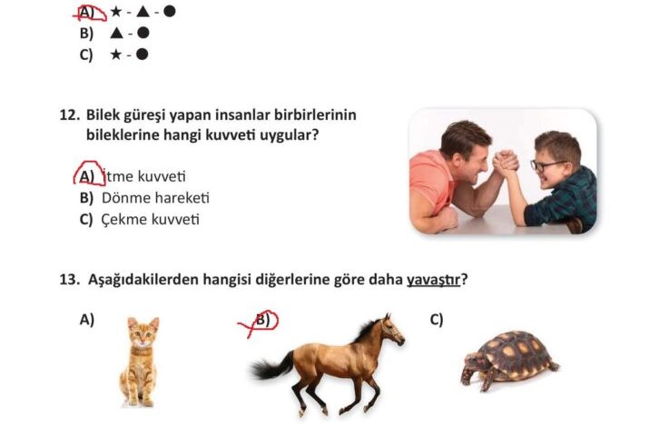 3. Sınıf Fen Bilimleri Meb Yayınları Sayfa 95 Cevapları