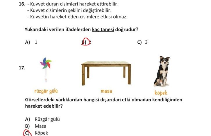 3. Sınıf Fen Bilimleri Meb Yayınları Sayfa 96 Cevapları