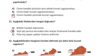 3. Sınıf Fen Bilimleri Meb Yayınları Sayfa 97 Cevapları