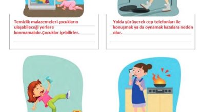 3. Sınıf Hayat Bilgisi Meb Yayınları Sayfa 100 Cevapları