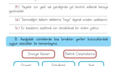 3. Sınıf Hayat Bilgisi Meb Yayınları Sayfa 114 Cevapları