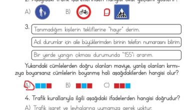 3. Sınıf Hayat Bilgisi Meb Yayınları Sayfa 115 Cevapları