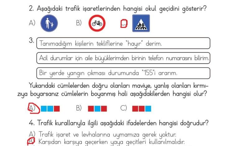 3. Sınıf Hayat Bilgisi Meb Yayınları Sayfa 115 Cevapları