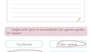 3. Sınıf Hayat Bilgisi Meb Yayınları Sayfa 129 Cevapları