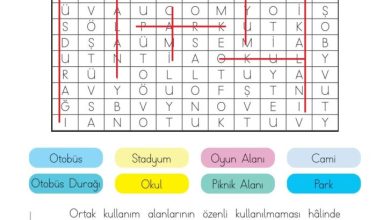 3. Sınıf Hayat Bilgisi Meb Yayınları Sayfa 133 Cevapları