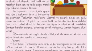 3. Sınıf Hayat Bilgisi Meb Yayınları Sayfa 134 Cevapları