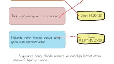 3. Sınıf Hayat Bilgisi Meb Yayınları Sayfa 145 Cevapları