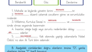 3. Sınıf Hayat Bilgisi Meb Yayınları Sayfa 146 Cevapları