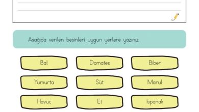 3. Sınıf Hayat Bilgisi Meb Yayınları Sayfa 159 Cevapları