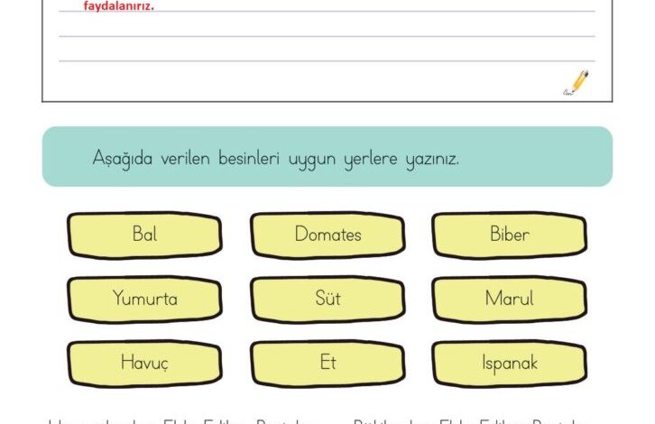 3. Sınıf Hayat Bilgisi Meb Yayınları Sayfa 159 Cevapları