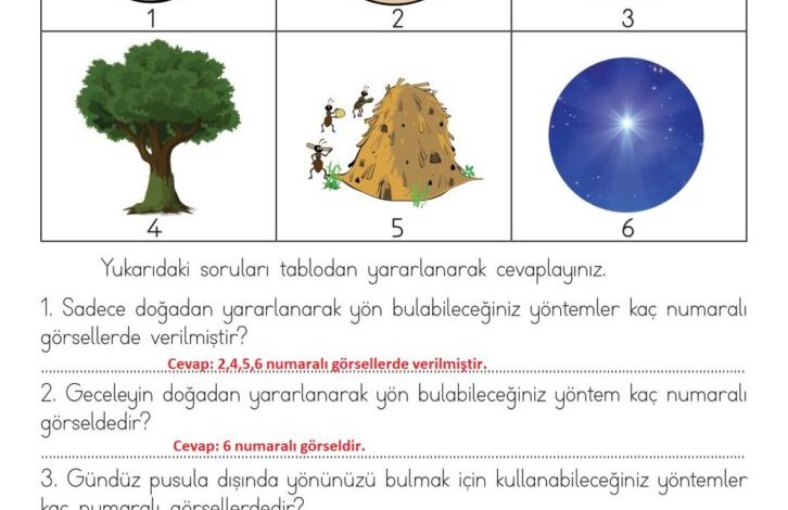 3. Sınıf Hayat Bilgisi Meb Yayınları Sayfa 164 Cevapları