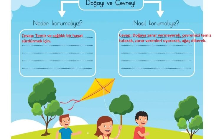 3. Sınıf Hayat Bilgisi Meb Yayınları Sayfa 171 Cevapları