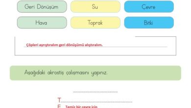 3. Sınıf Hayat Bilgisi Meb Yayınları Sayfa 174 Cevapları