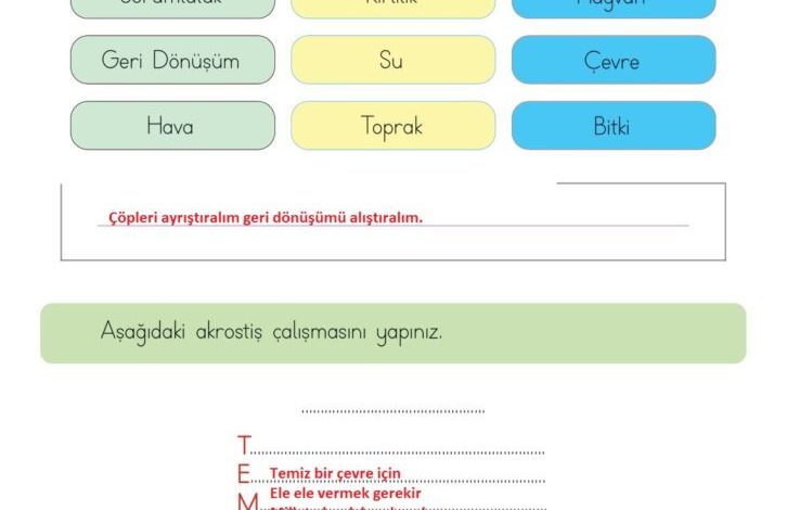 3. Sınıf Hayat Bilgisi Meb Yayınları Sayfa 174 Cevapları