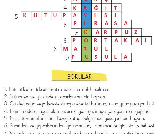 3. Sınıf Hayat Bilgisi Meb Yayınları Sayfa 175 Cevapları