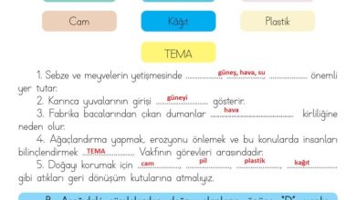 3. Sınıf Hayat Bilgisi Meb Yayınları Sayfa 176 Cevapları