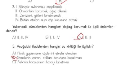 3. Sınıf Hayat Bilgisi Meb Yayınları Sayfa 177 Cevapları