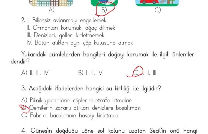 3. Sınıf Hayat Bilgisi Meb Yayınları Sayfa 177 Cevapları