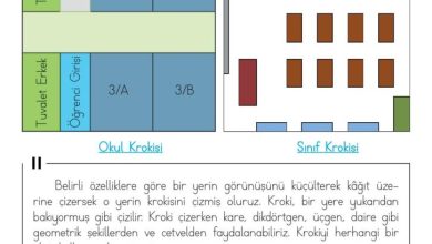 3. Sınıf Hayat Bilgisi Meb Yayınları Sayfa 22 Cevapları