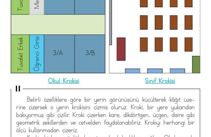 3. Sınıf Hayat Bilgisi Meb Yayınları Sayfa 22 Cevapları