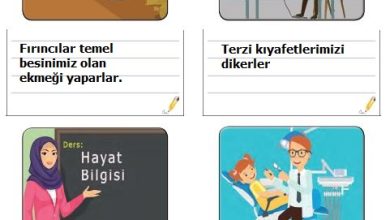 3. Sınıf Hayat Bilgisi Meb Yayınları Sayfa 35 Cevapları