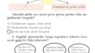 3. Sınıf Hayat Bilgisi Meb Yayınları Sayfa 39 Cevapları