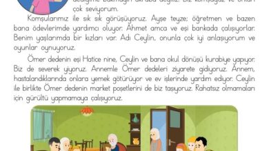 3. Sınıf Hayat Bilgisi Meb Yayınları Sayfa 50 Cevapları