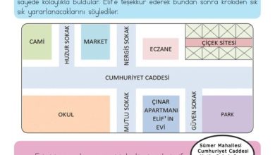 3. Sınıf Hayat Bilgisi Meb Yayınları Sayfa 52 Cevapları