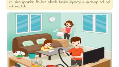 3. Sınıf Hayat Bilgisi Meb Yayınları Sayfa 54 Cevapları