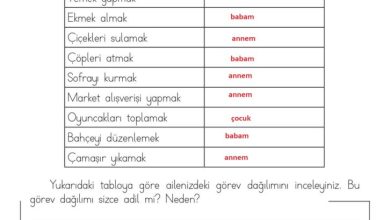 3. Sınıf Hayat Bilgisi Meb Yayınları Sayfa 55 Cevapları