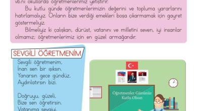 3. Sınıf Hayat Bilgisi Meb Yayınları Sayfa 74 Cevapları