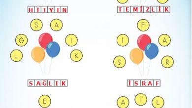 3. Sınıf Hayat Bilgisi Meb Yayınları Sayfa 88 Cevapları