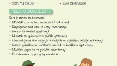 3. Sınıf Hecce Yayıncılık Müzik Ders Kitabı Sayfa 17 Cevapları