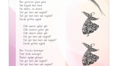 3. Sınıf Hecce Yayıncılık Müzik Ders Kitabı Sayfa 37 Cevapları