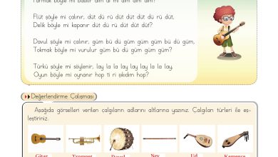 3. Sınıf Hecce Yayıncılık Müzik Ders Kitabı Sayfa 42 Cevapları