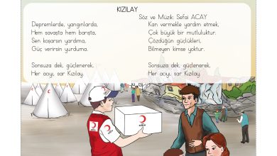 3. Sınıf Hecce Yayıncılık Müzik Ders Kitabı Sayfa 53 Cevapları