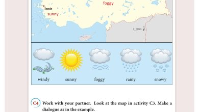 3. Sınıf İngilizce Yıldırım Yayınları Sayfa 152 Cevapları