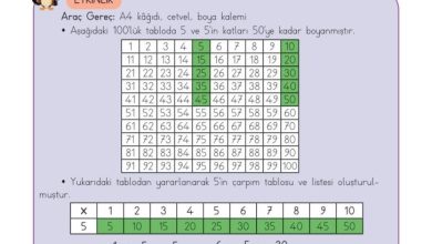 3. Sınıf Matematik Meb Yayınları Sayfa 100 Cevapları