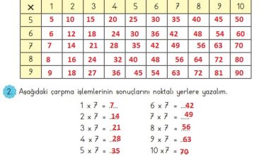 3. Sınıf Matematik Meb Yayınları Sayfa 101 Cevapları