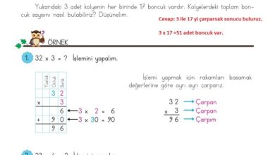 3. Sınıf Matematik Meb Yayınları Sayfa 102 Cevapları